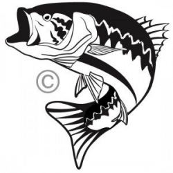 One color custom vector illustration of a big mouth bass ...