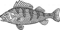 water-cartoon-bass-fish-illustration-jumping.png (640×320) | Tattoo ...