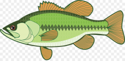 Bass Clip art - Fishing png download - 1280*621 - Free Transparent ...