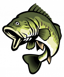 Bass Stock illustration Clip art - Green cartoon fish 835*1000 ...