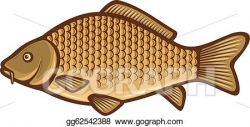 Vector Art - Carp fish (common carp). Clipart Drawing gg62542388 ...