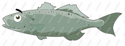 Sea Bass Clip Art - Royalty Free Clipart - Vector Cartoon Drawing
