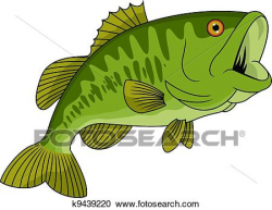 largemouth bass clipart clipart of bass fish k9439220 search clip ...