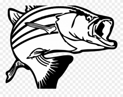 Download Clip Art Fish - Largemouth Bass Clipart Png ...