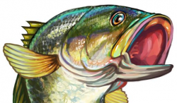 216 best Clip Art, etc.-Fish & Sea images on Pinterest | Painted ...