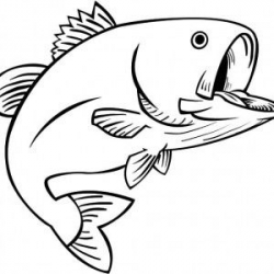 Guadalupe Bass Fish Coloring Pages: Guadalupe Bass Fish Coloring ...