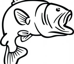 Largemouth Bass Coloring Pages# 2427292