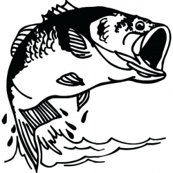 Smallmouth Bass Fish Coloring Pages Best Place To Color Smallmouth ...