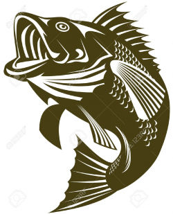 Largemouth Bass Cliparts Stock Vector And Royalty Free Largemouth ...