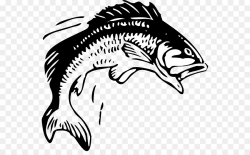 Fishing Free content Bass Clip art - Bass Jumping Cliparts png ...