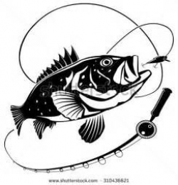 Stock Vector Illustration Of Sea Bass Fish And Fishing Rod ...