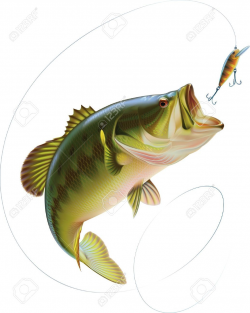 Bass Jumping Out of Water Clipart (65+) | Fish | Pinterest | Bass