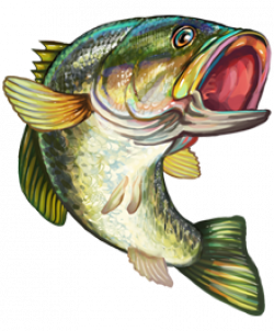 Image - 17-Jumping-Bass-Game-Fish-clipart.png | 703 ORG Network Wiki ...