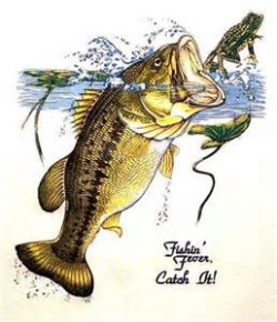 Bass Clipart - Yahoo Image Search Results | FISHING | Pinterest ...