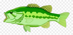 Lake Fish Clipart, Explore Pictures - Clipart Bass - Png ...