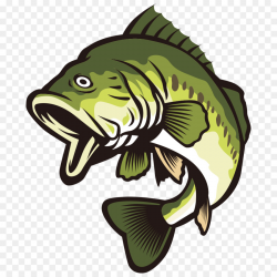 Largemouth bass Clip art - Open your mouth and green fish png ...