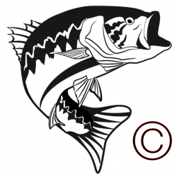Largemouth Bass Fish Clip Art N19 free image