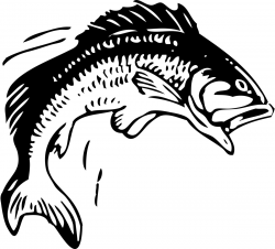 Clip art fish bass fishing clip art free printable fish stencils ...