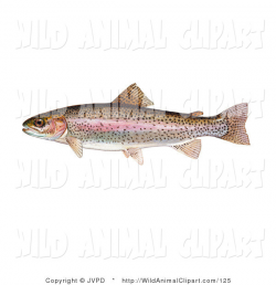 Clip Art of a Rainbow Trout Fish (Oncorhynchus Mykiss) Swimming Left ...