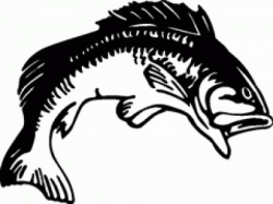 Download Free png Simple Bass Clipart Black And White & Clip ...