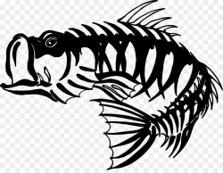 Skeleton Fishing Bass Clip art - Bass Skeleton Cliparts png download ...