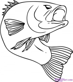 fish pictures to color | How to Draw a Bass, Step by Step, Fish ...