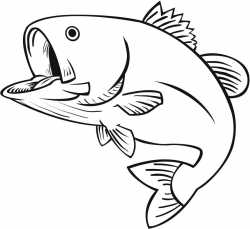 Bass cliparts | stencils | Fish drawings, Fish silhouette ...