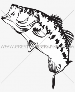 Fishing Clipart Smallmouth Bass - Drawing PNG Image ...