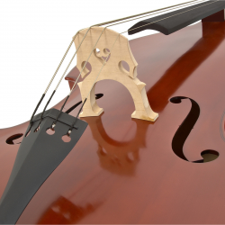 Student 3/4 Double Bass by Gear4music at Gear4music.com