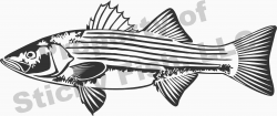 Our striped bass decal has great detail and features, show off your ...