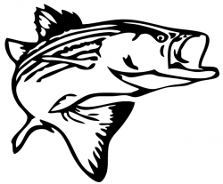 Bass Fish Outline Clip Art Free Clipart Images | rock art ...