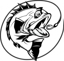 cartoon illustration of a bass chasing a hook | Bass fishing, Vector ...