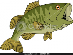 Bass fish stock vector