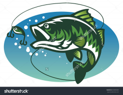 Bass fish vector clipart - Clip Art Library