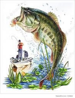 New largemouth bass using watercolors. What do you guys think ...