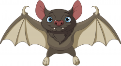 Interesting Facts About the Vampire Bat | Blog about Bats