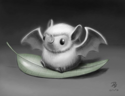 Bat. Bumblebee bat. | kitteh!!! | Pinterest | Bats, Animal and Drawings