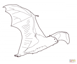 Fruit bat coloring page | Free Printable Coloring Pages
