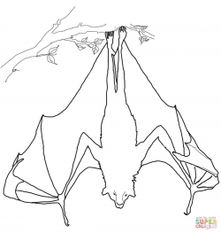 Flying fox coloring pages | Free Coloring Pages
