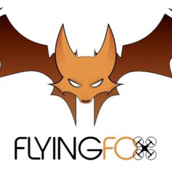 Flying Fox USA (@FlyingFoxUSA) | Twitter