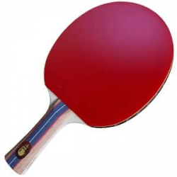 Best Table Tennis Paddle For Intermediate Player 2017-2018 ...