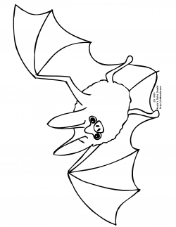 flying-bat