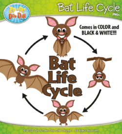 Bat Life Cycle Clipart {Zip-A-Dee-Doo-Dah Designs} by Zip-A-Dee-Doo ...