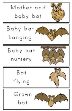 Bat Life Cycle Printable | Bats, Cycling and Scissor practice