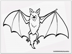 Excellent Bat Coloring Pages Realistic With Bat Coloring Pages on ...