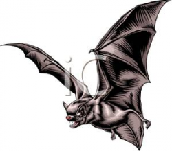 Realistic Vampire Bat - Royalty Free Clipart Picture