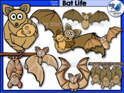 Life Cycle - Bat - Whimsy Workshop Teaching