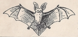 Leaping Frog Designs: Friday Freebies Vintage Clip Art Little Bat ...
