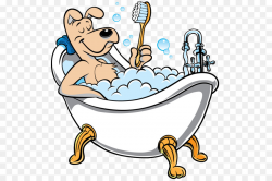 Poodle Puppy Cat Dog grooming Clip art - Bath Cliparts png download ...