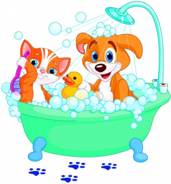 Cat Diggity Dog™ - Pet Grooming - A Pet Spa Wonderland! - Hicksville ...